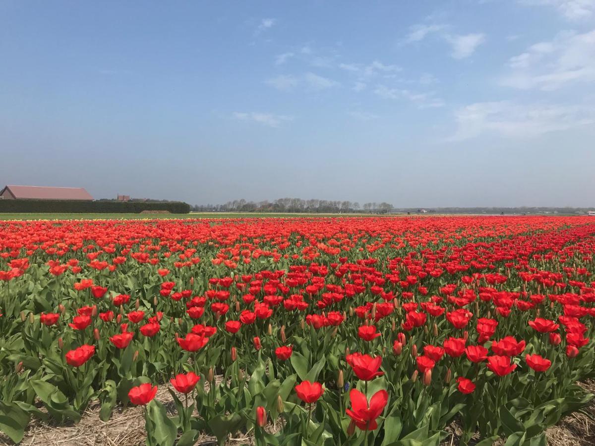 Vakantiehuis Achter De Duinen カストリクム エクステリア 写真