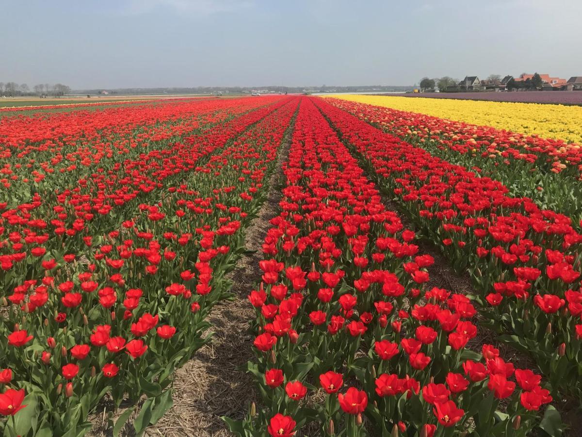 Vakantiehuis Achter De Duinen カストリクム エクステリア 写真